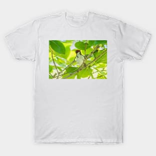 Red-crested cardinal of hawaii T-Shirt